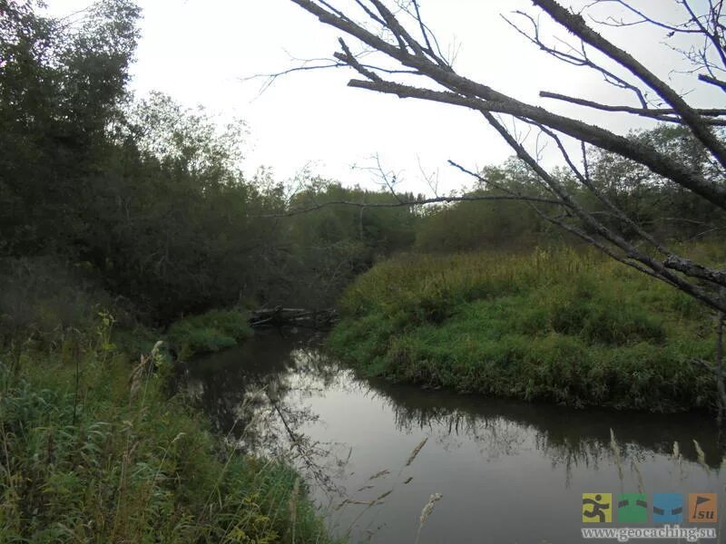 Река веля фото Родники на реке Веля