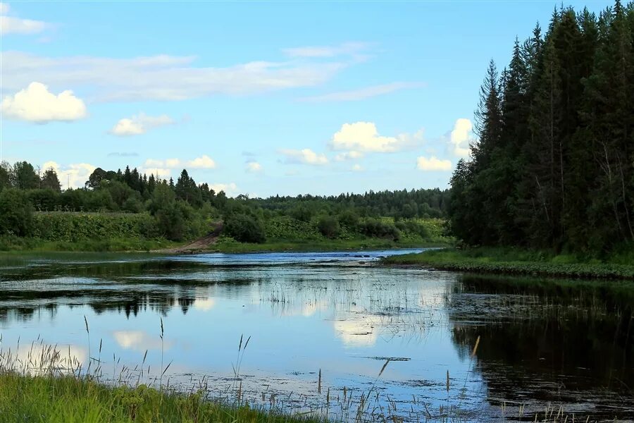 Река веля фото Фото жизнь - SAN6 - корневой каталог - река Вель