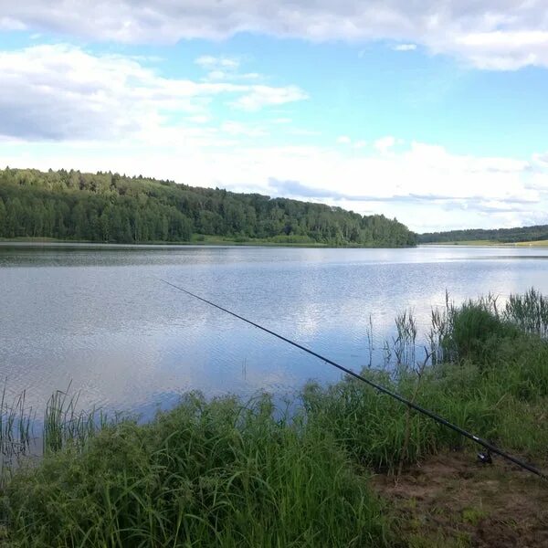 Река веля фото река Веля - River