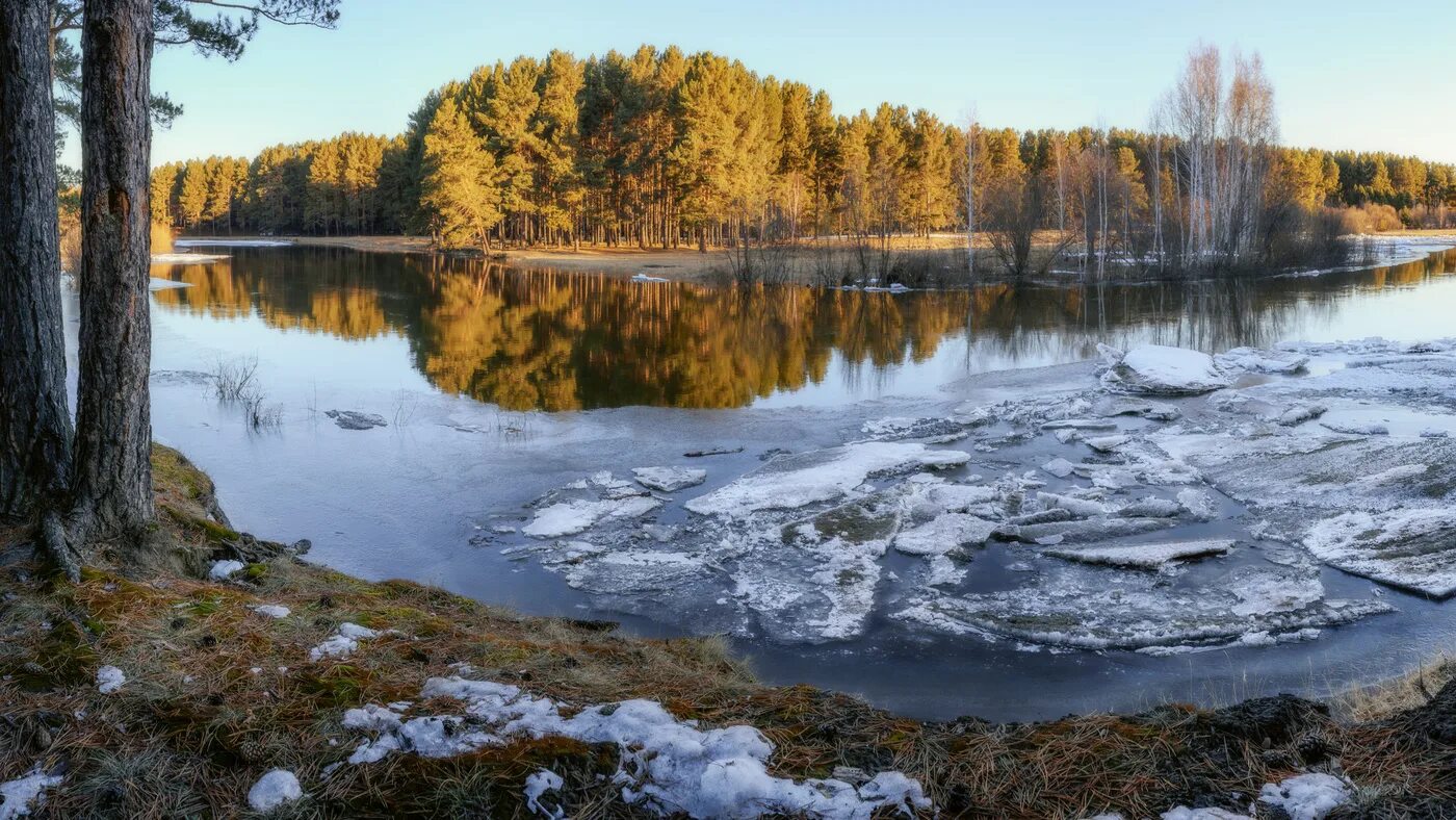 Река весной фото РЕКА ВЕСНОЙ / долгожданная, любимая, пора пробуждения от зимнего сна