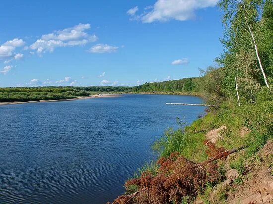 Река ветлуга фото Какие еще тайны хранит костромская земля - МК Кострома