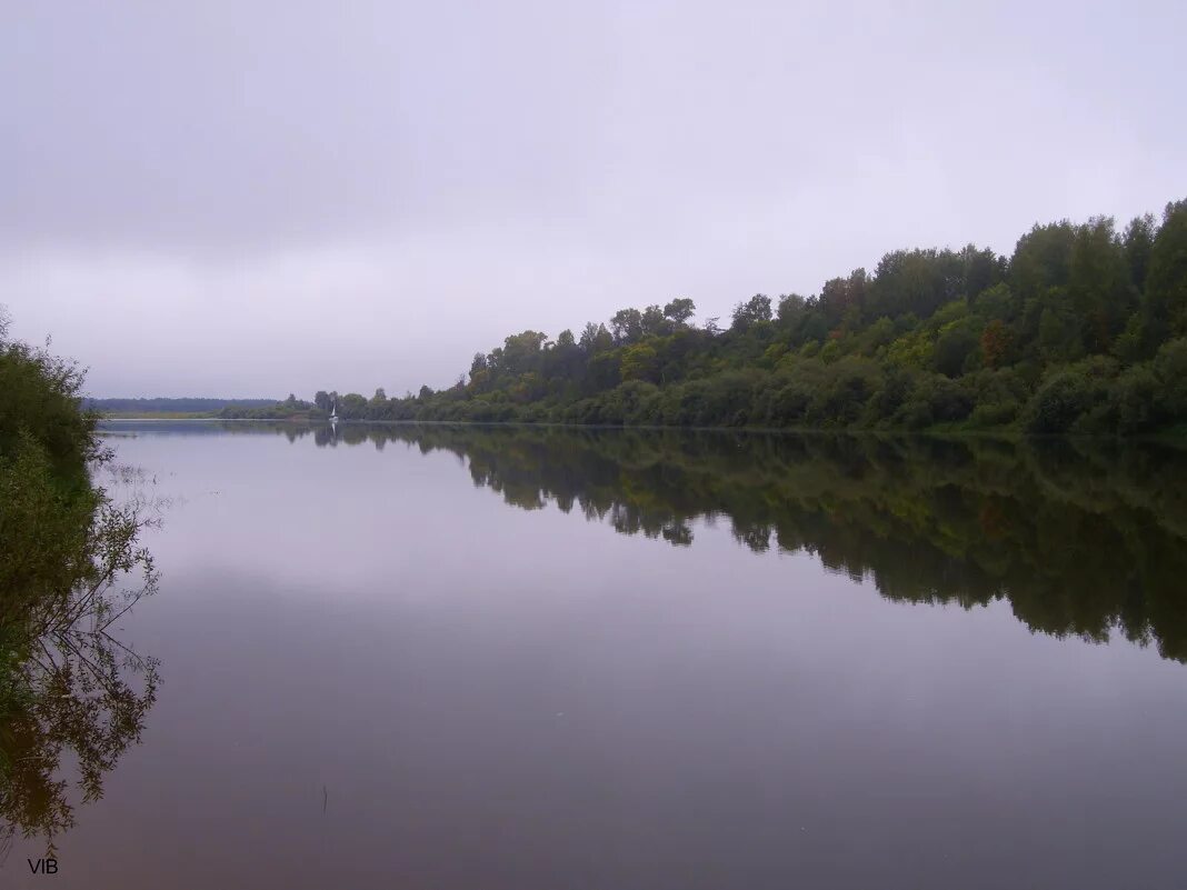 Река ветлуга фото нижегородская область Река Ветлуга :: Владимир - Социальная сеть ФотоКто