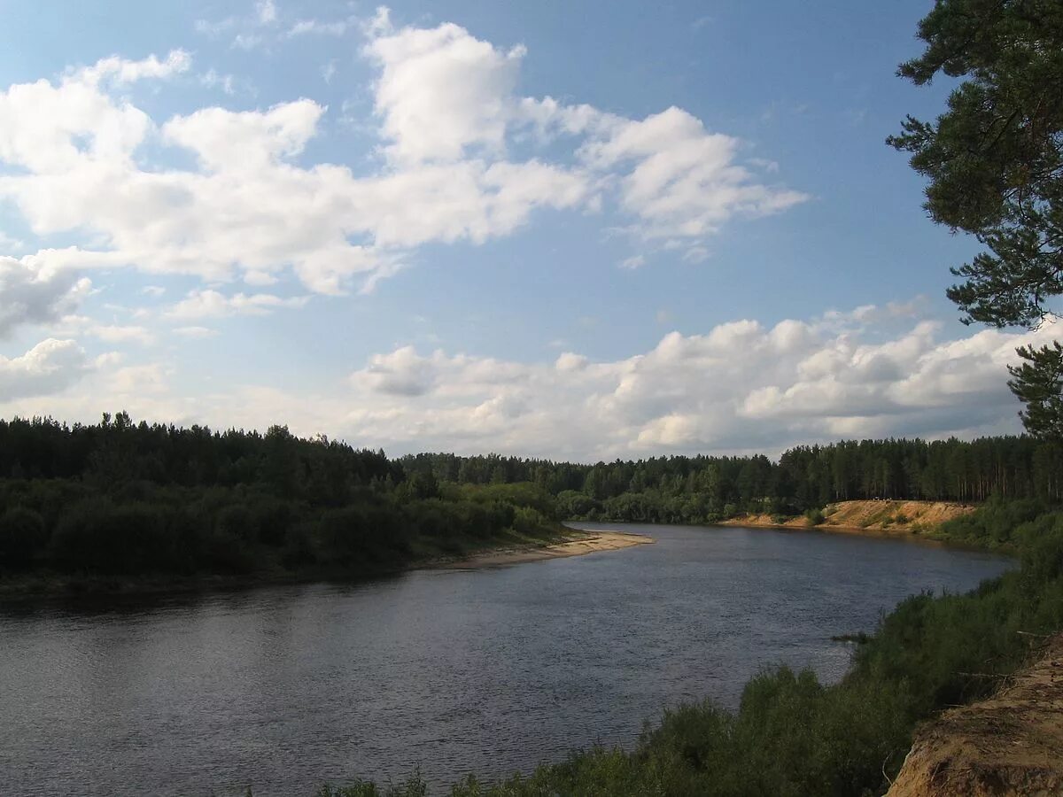 Река ветлуга фото нижегородская область Файл:Ветлуга близ Шарьи.jpg - Википедия