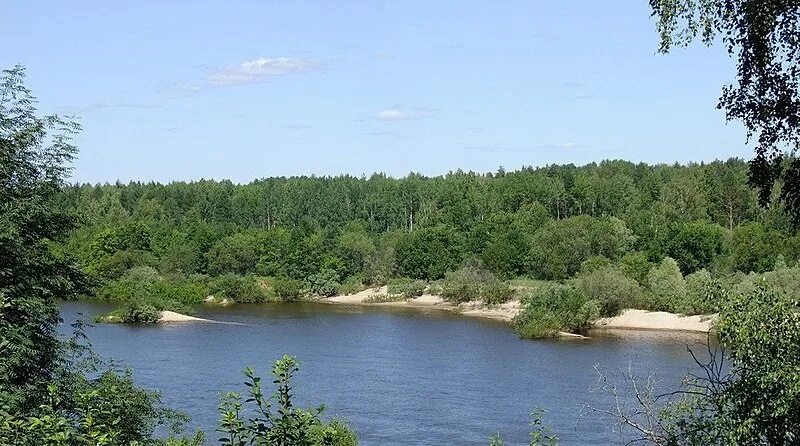 Река ветлуга фото нижегородская область Vetloega (rivier) - Wikipedia