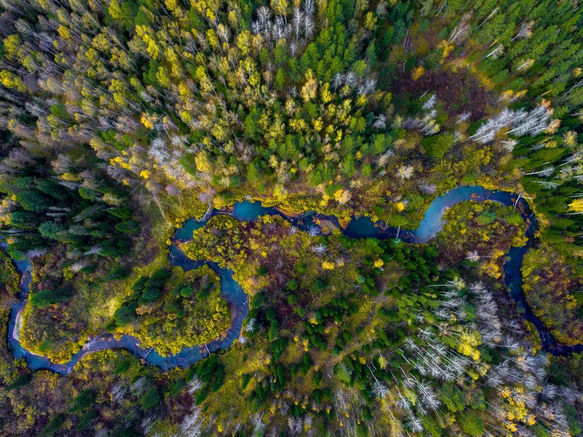 Река вид сверху фото Стартовал VIII Фотоконкурс РГО "Самая красивая страна" - Новости РГО