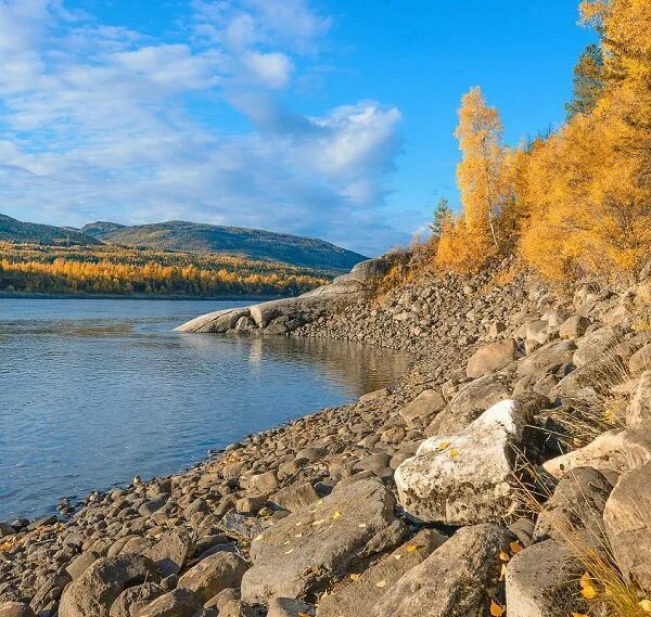 Река витим фото Берега реки Витим, Восточная Сибирь. Автор фото: Boris Altynnikov