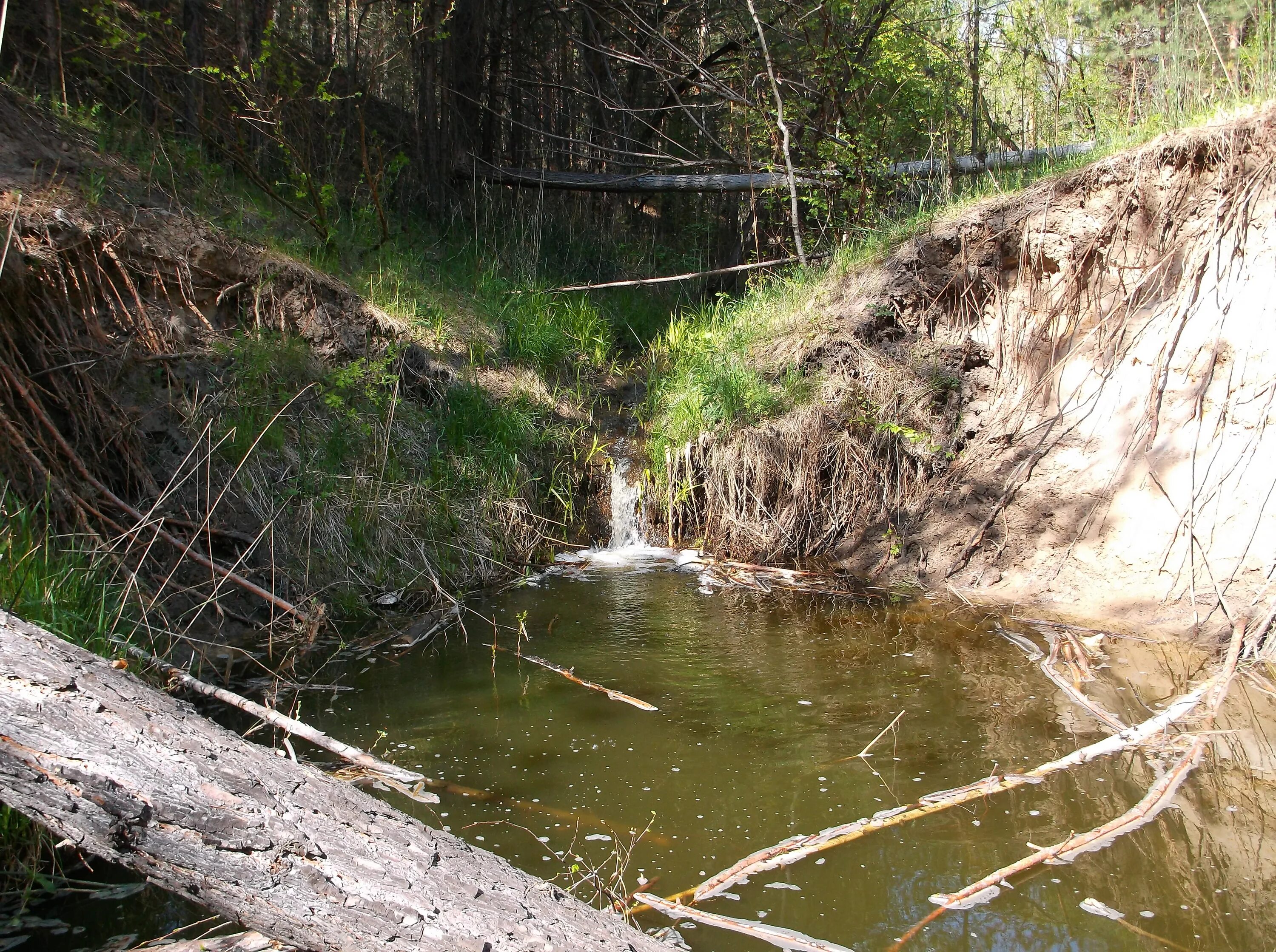 Река власиха новосибирская фото Заболоченное озеро с водопадом на реке Власихе