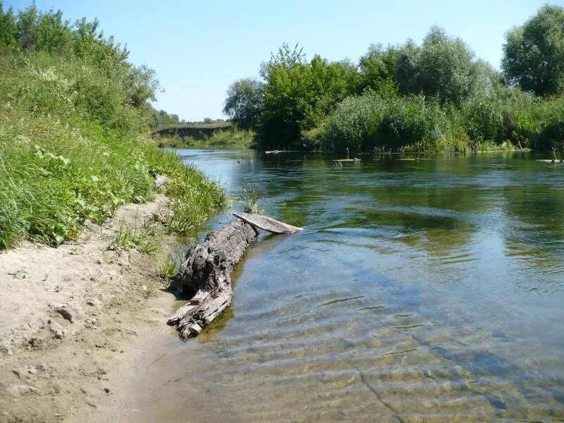 Река ворона фото Поход по реке Ворона. 3 дня. Странник-Воронеж