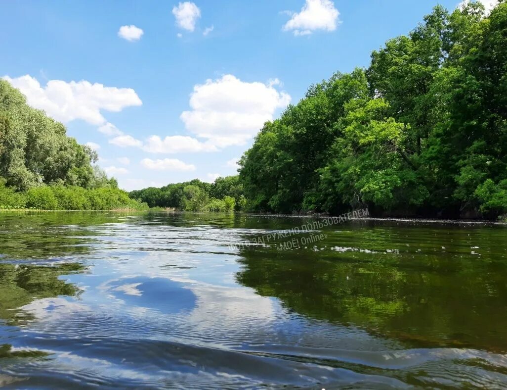 Река воронеж фото Речной воронеж