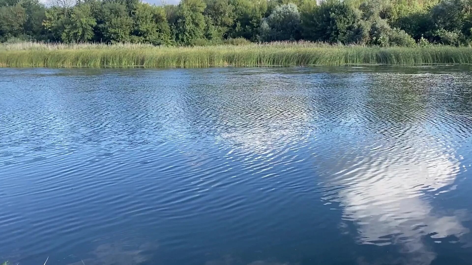 Река воронеж фото Сколько градусов в липецке реке воронеж