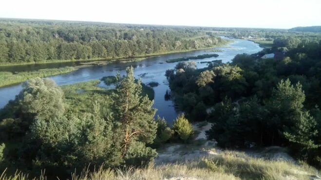 Река воронеж фото Рассказ о красоте воды Воронежской области, Воронежа как написать?