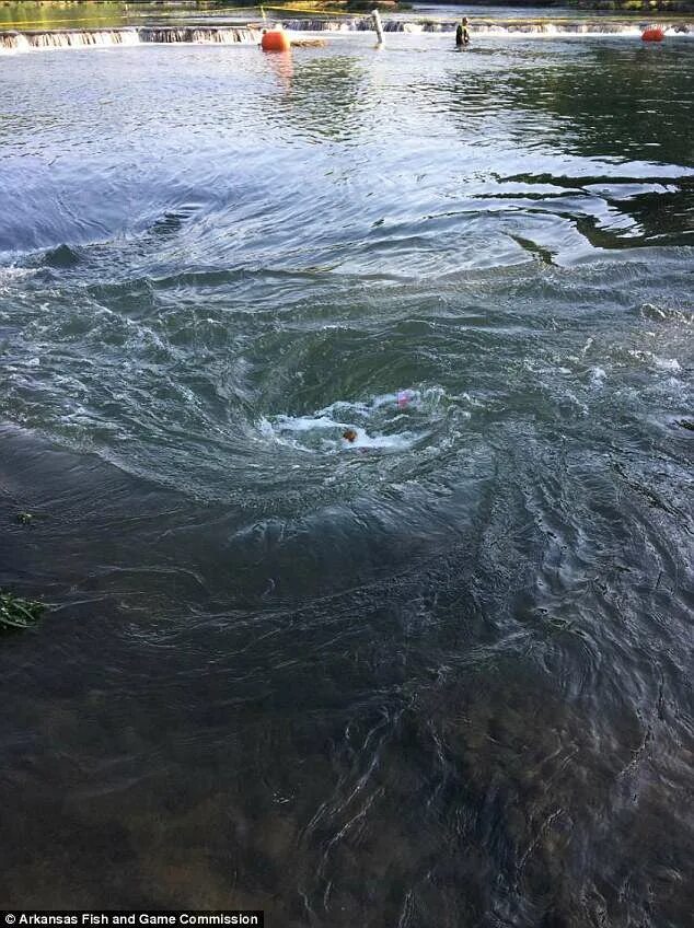 Река воронка фото Rare river sinkhole created whirlpool, led to man's death Daily Mail Online