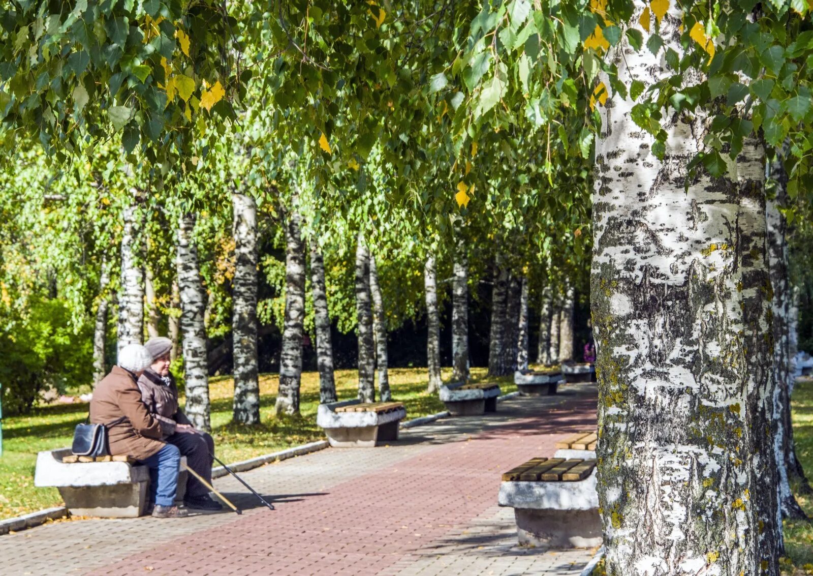 Река времени кирово чепецк фото Фотогалерея Родная Вятка