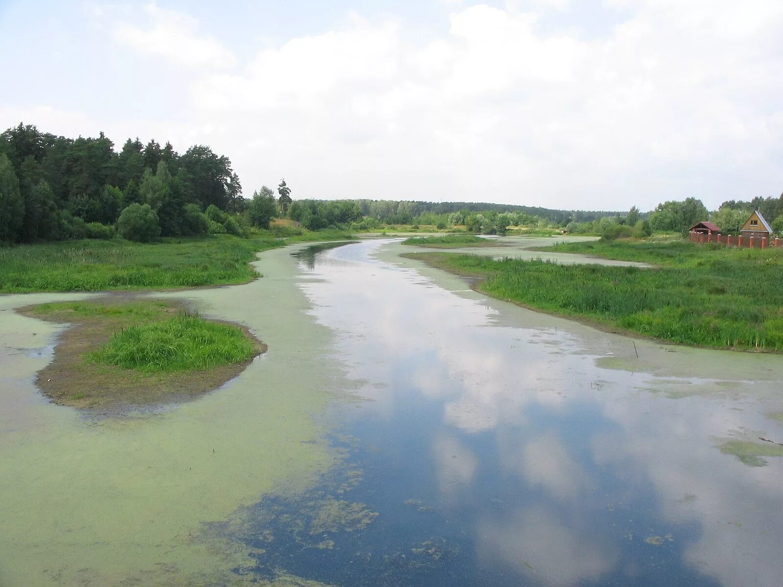 Река вьюн фото Файл:Вьюнка - panoramio.jpg - Википедия