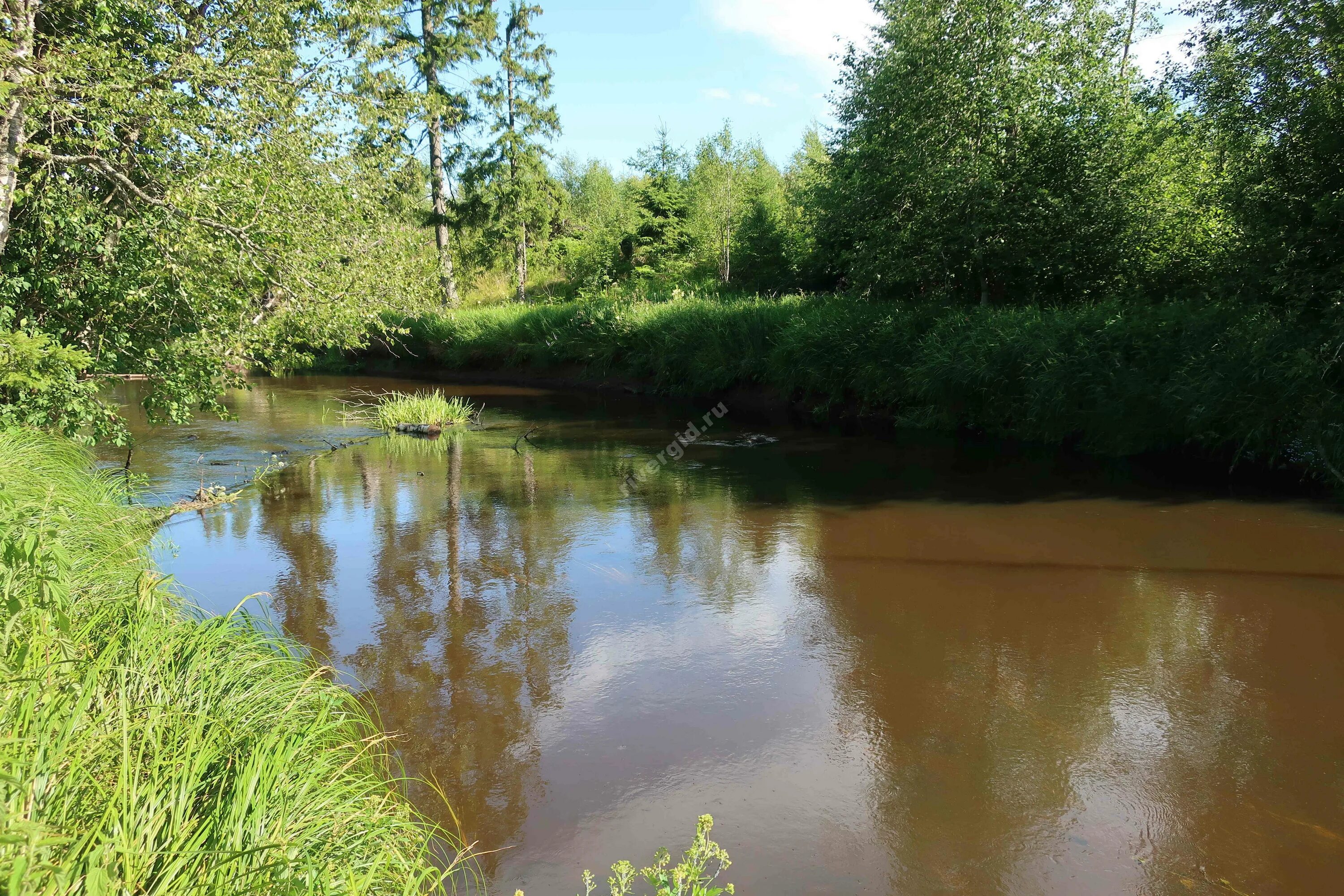 Река вьюн фото Фотографии реки Вьюн в Ленинградской области RiverGid.ru