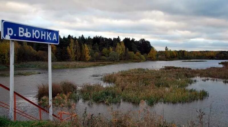 Река вьюн фото Река Вьюнка - бесплатная рыбалка