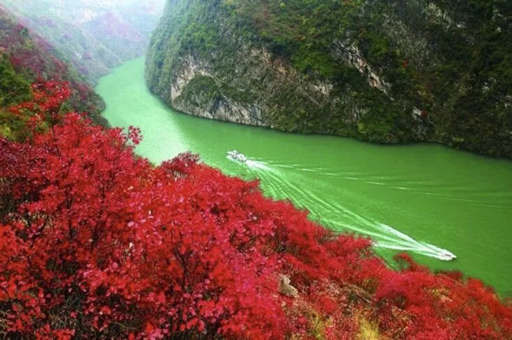 Река янцзы фото En el otoño cuando las hojas rojas están en plena floración, vamos a buscar el c