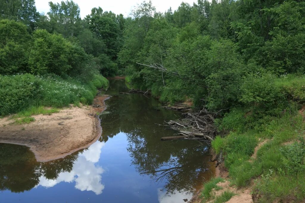 Река ящера фото Ящера река 57 фото Ast-Ohota.ru