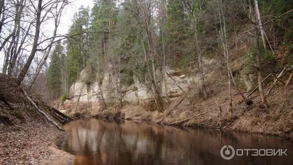 Река ящера ленинградская область фото Отзыв о Река Ящера (Россия, Ленинградская область) Пешком вдоль белых обрывов