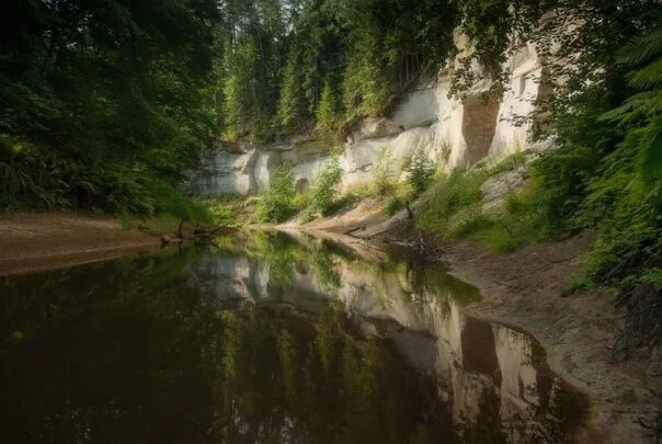 Река ящера ленинградская область фото Картинки КАНЬОН РЕКИ ЯЩЕРА