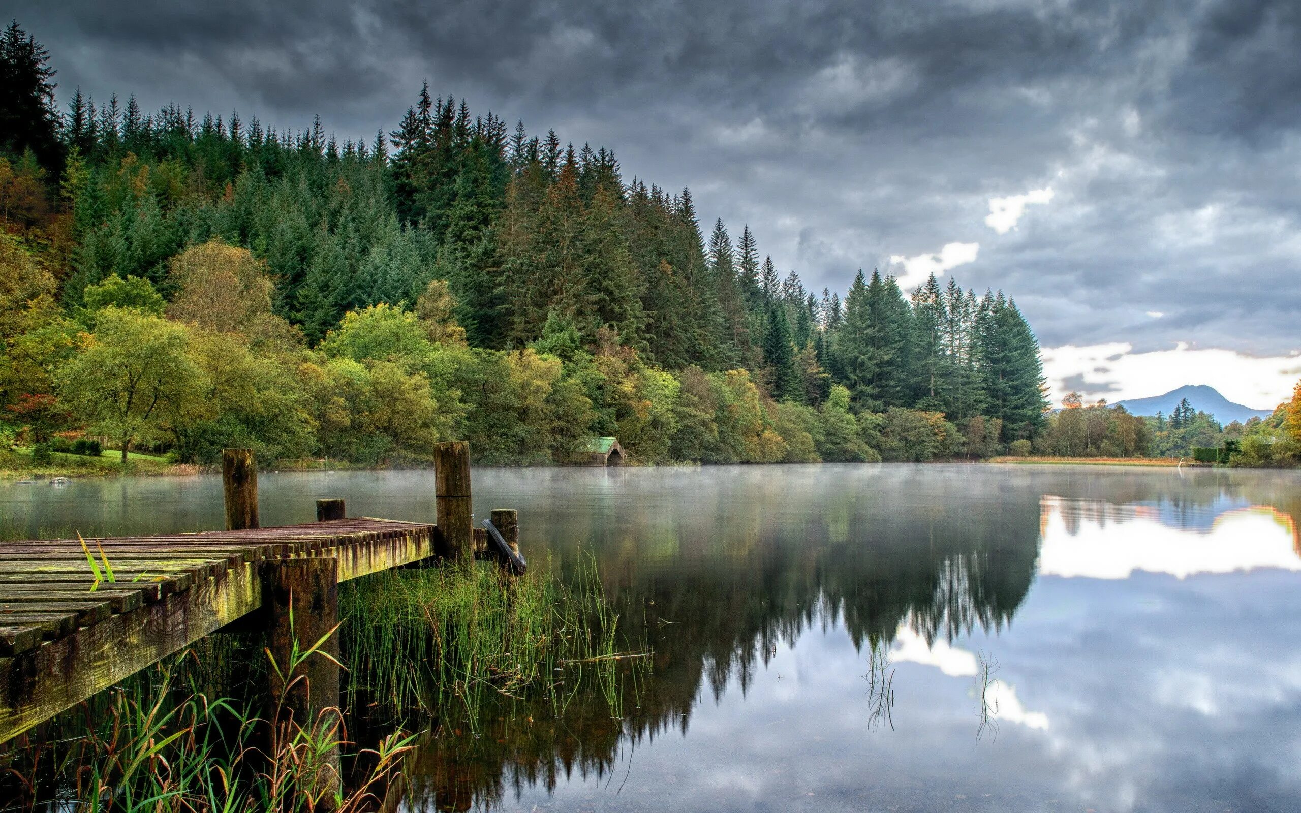 Река заставка фото Wallpaper : trees, landscape, forest, lake, nature, reflection, park, morning, r