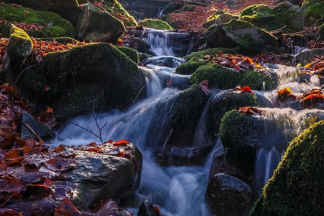 Река жизни фото По реке жизни. Photographer Vyacheslav Mishchenko