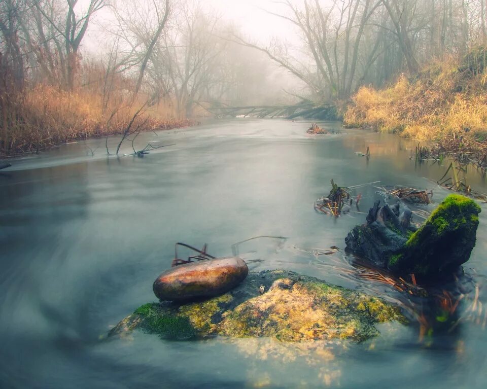 Река жизни фото foto Kūdra - fotografija - Ramioji Birvėtos upė