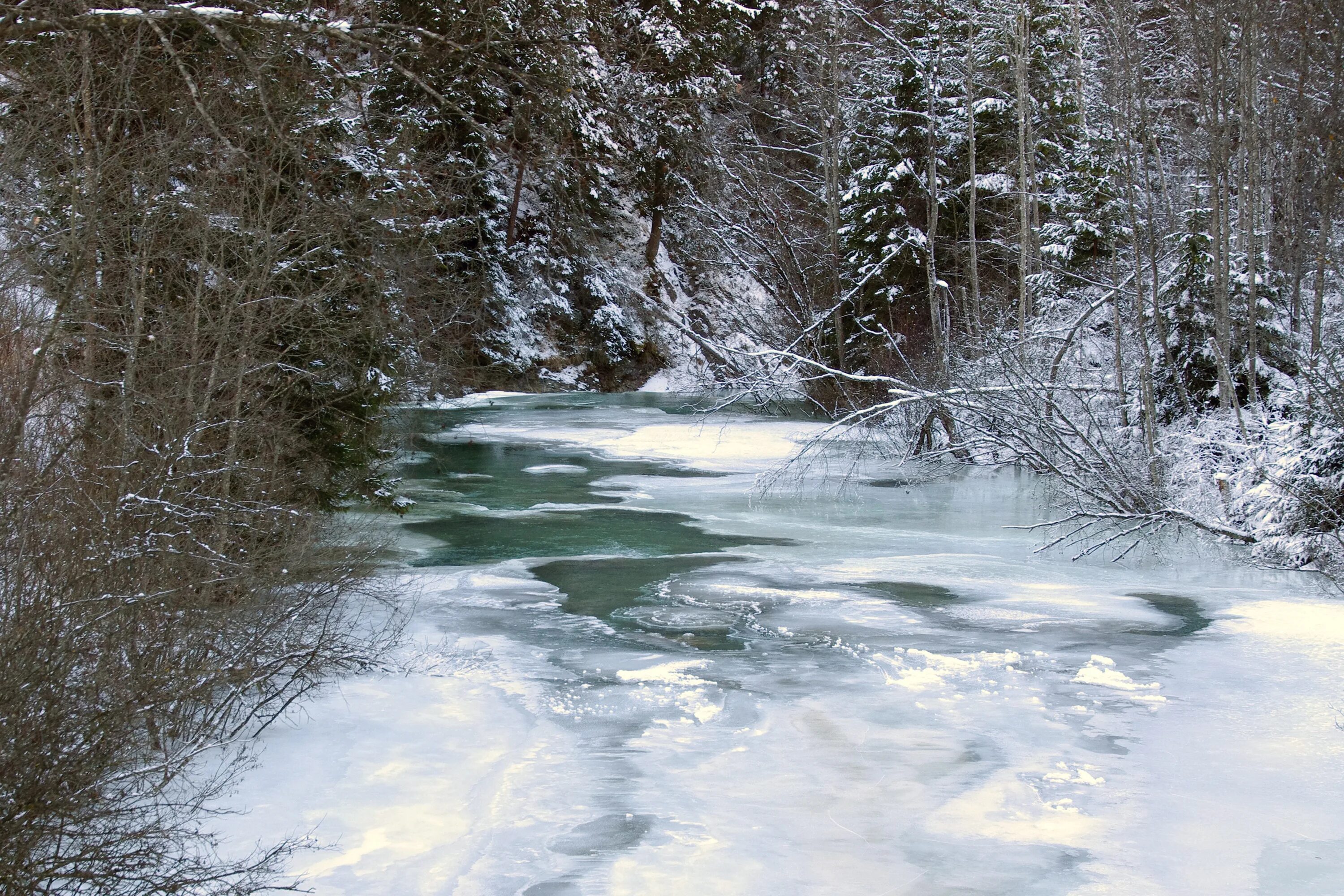 Река зимой фото Free Images : tree, nature, forest, creek, wilderness, mountain, snow, cold, win