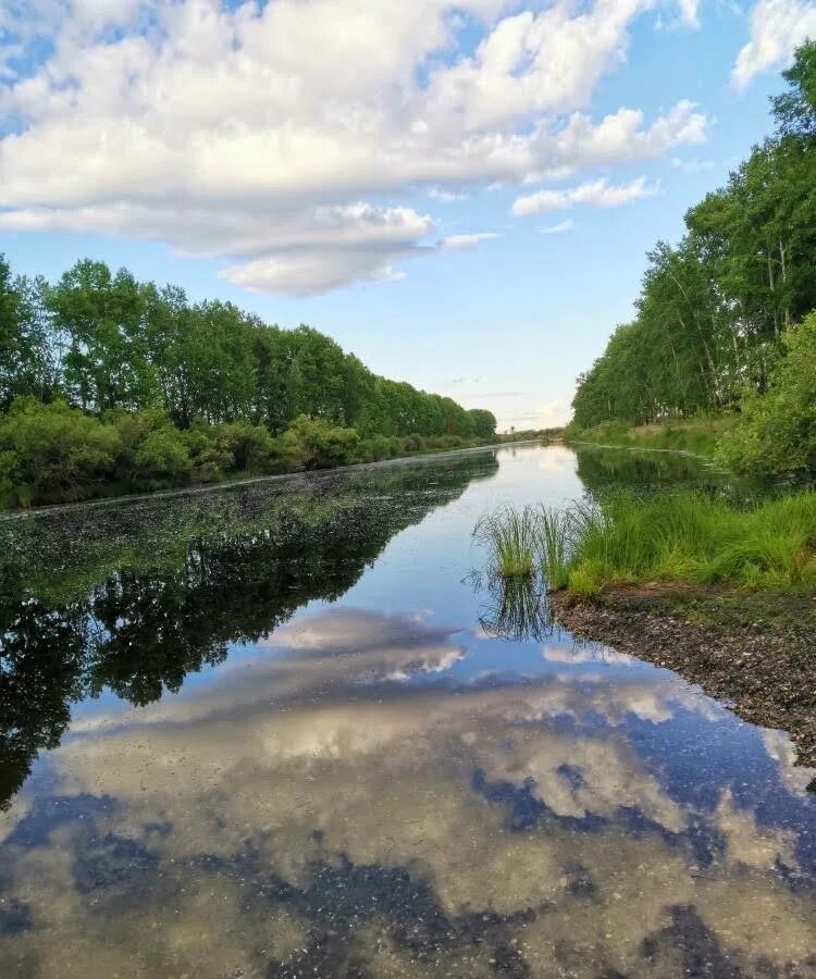 Реки амурской области фото село Новоандреевка Амурские сезоны