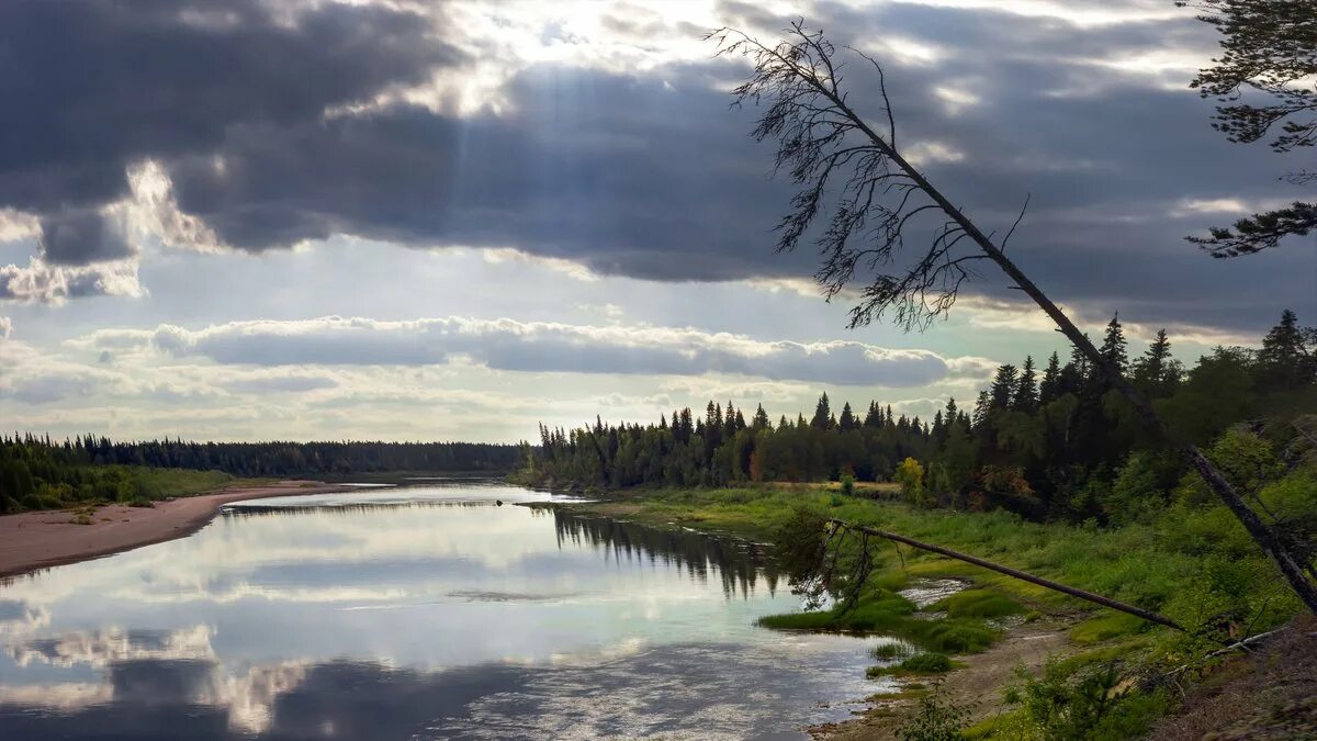 Реки архангельской области фото Вид на реку - Фото № 207042