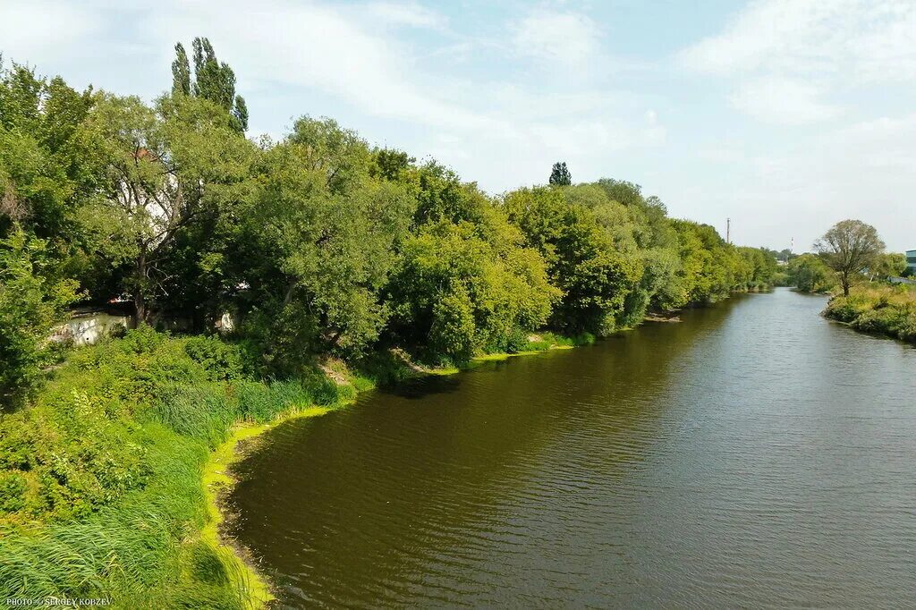 Реки белгорода фото Прогулки по Бел Городу. Река Везеница, Везелица, Везёлка Пушкинский клуб Белгоро