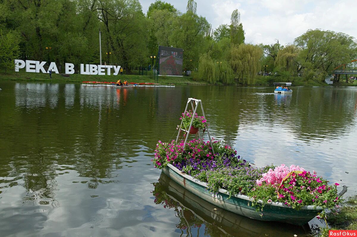 Реки белгорода фото Фото: Фестиваль "Река в цвету". Репортажный фотограф Игорь Трушляков. Город. Фот