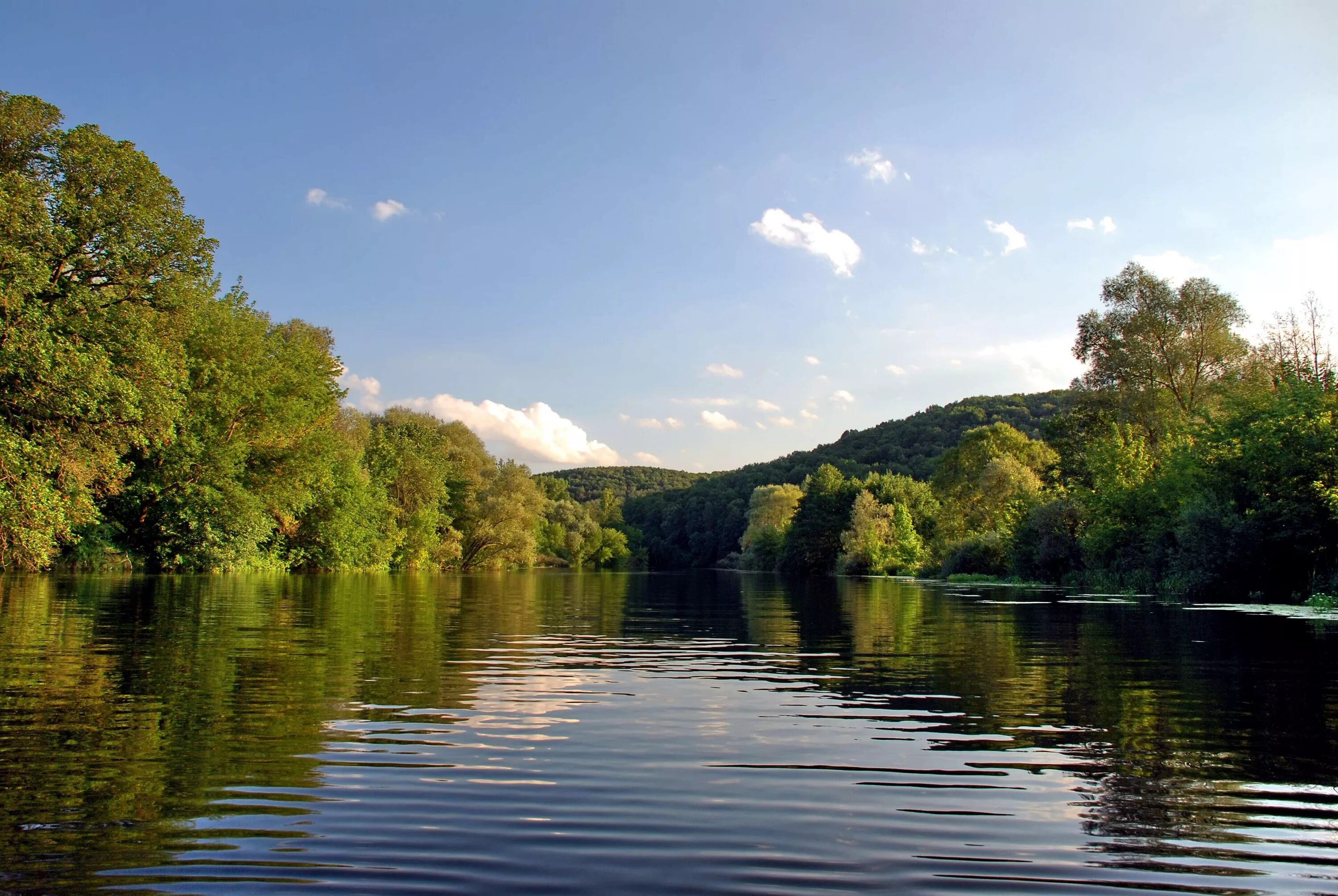 Реки белгородской области фото he Pshel River in July 2008 Sumy - Gadyach