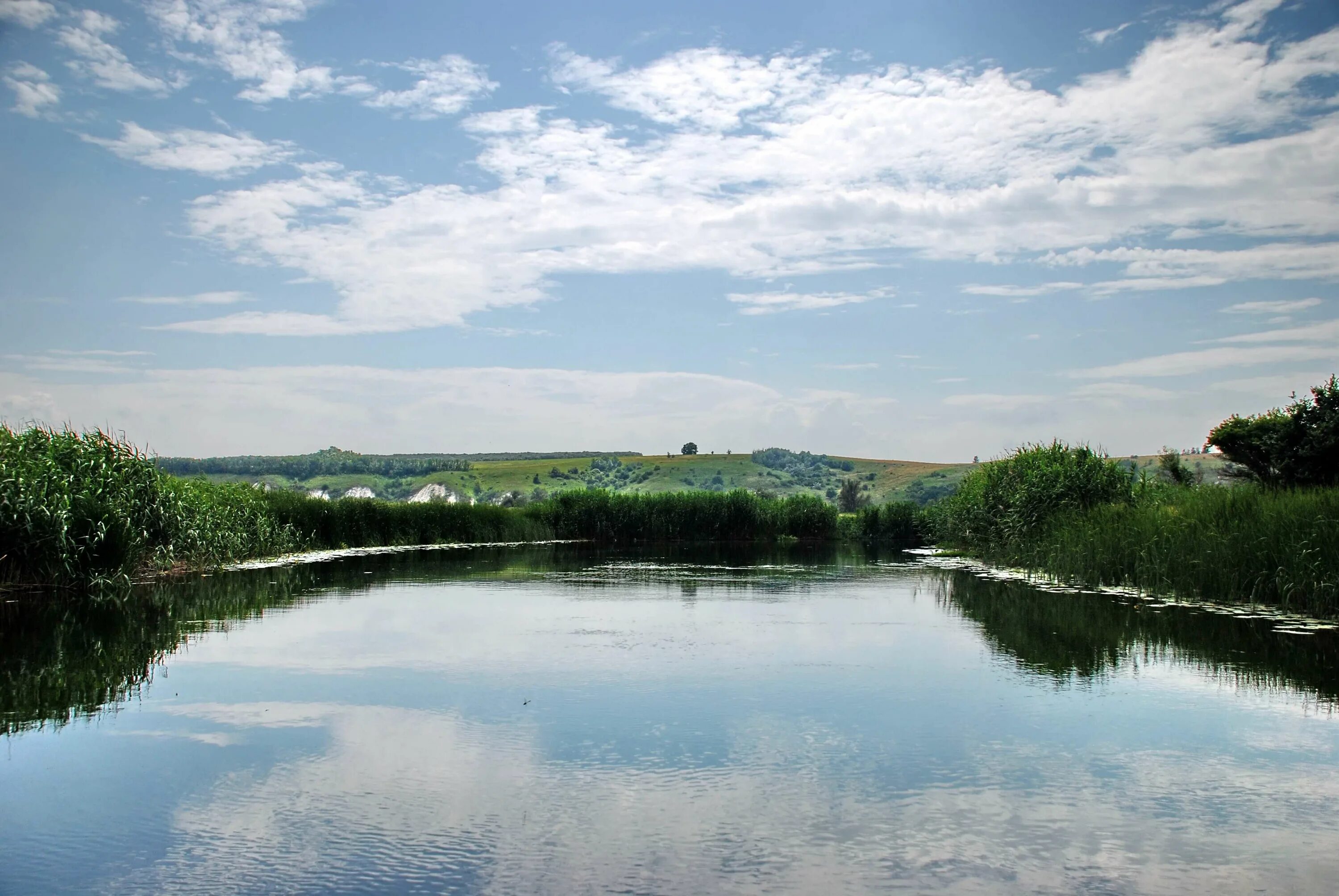 Реки белгородской области фото The Oskol River in June 2011 Topoli - Kupyansk