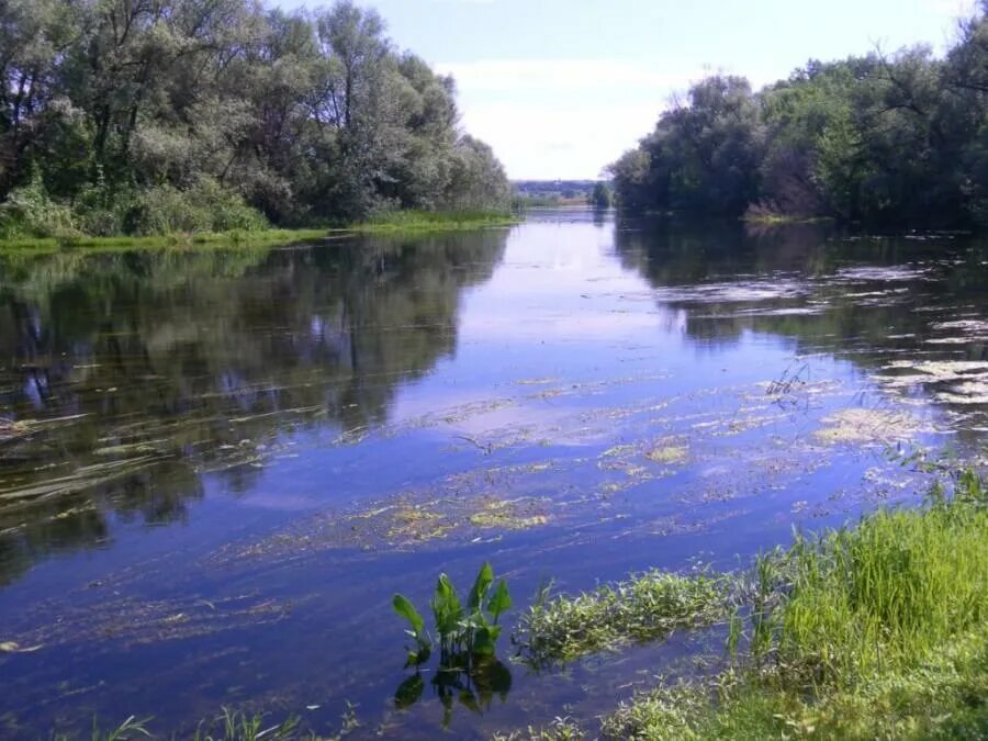 Реки белгородской области фото В Белгородской области до конца лета восстановят три реки ⋆ НИА "Экология" ⋆