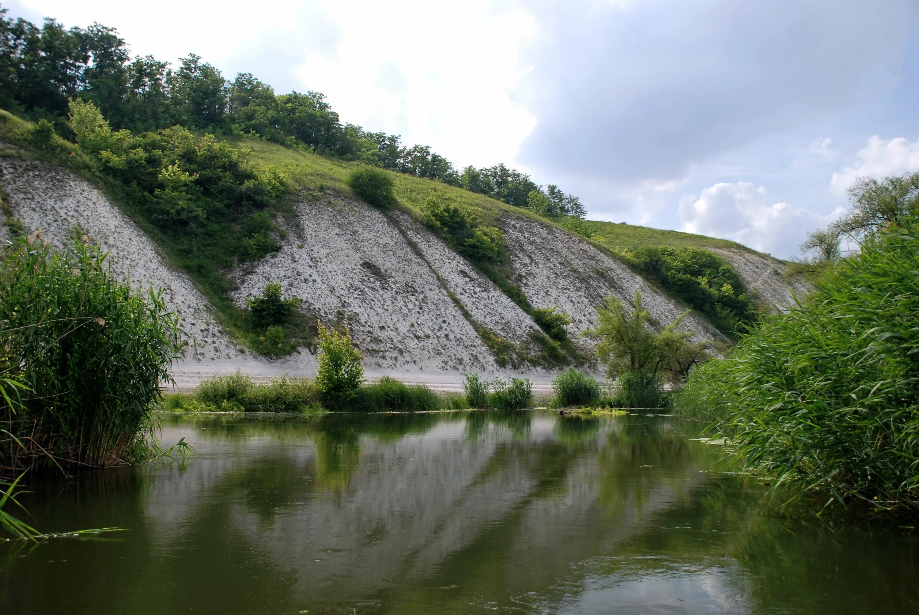 Реки белгородской области фото The Oskol River in June 2011 Topoli - Kupyansk