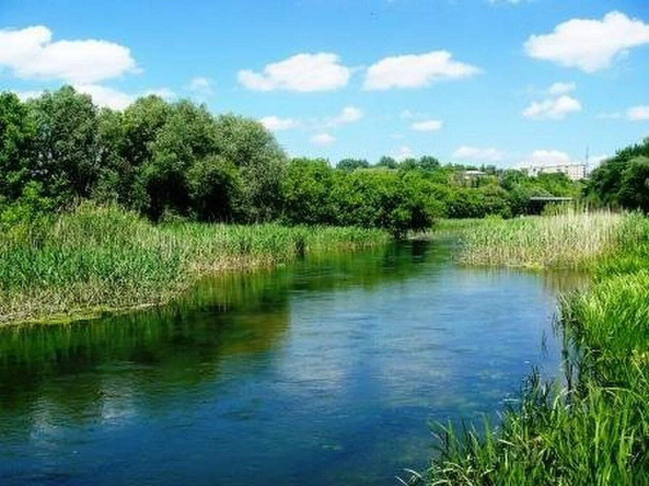 Реки белгородской области фото Река валуй - 92 фото