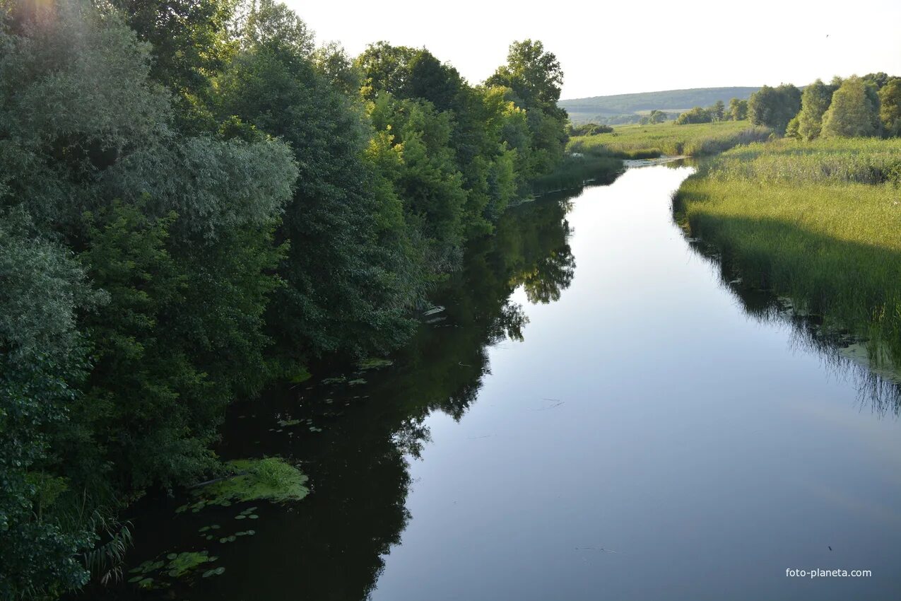 Реки белгородской области фото Река северный донец - Фото