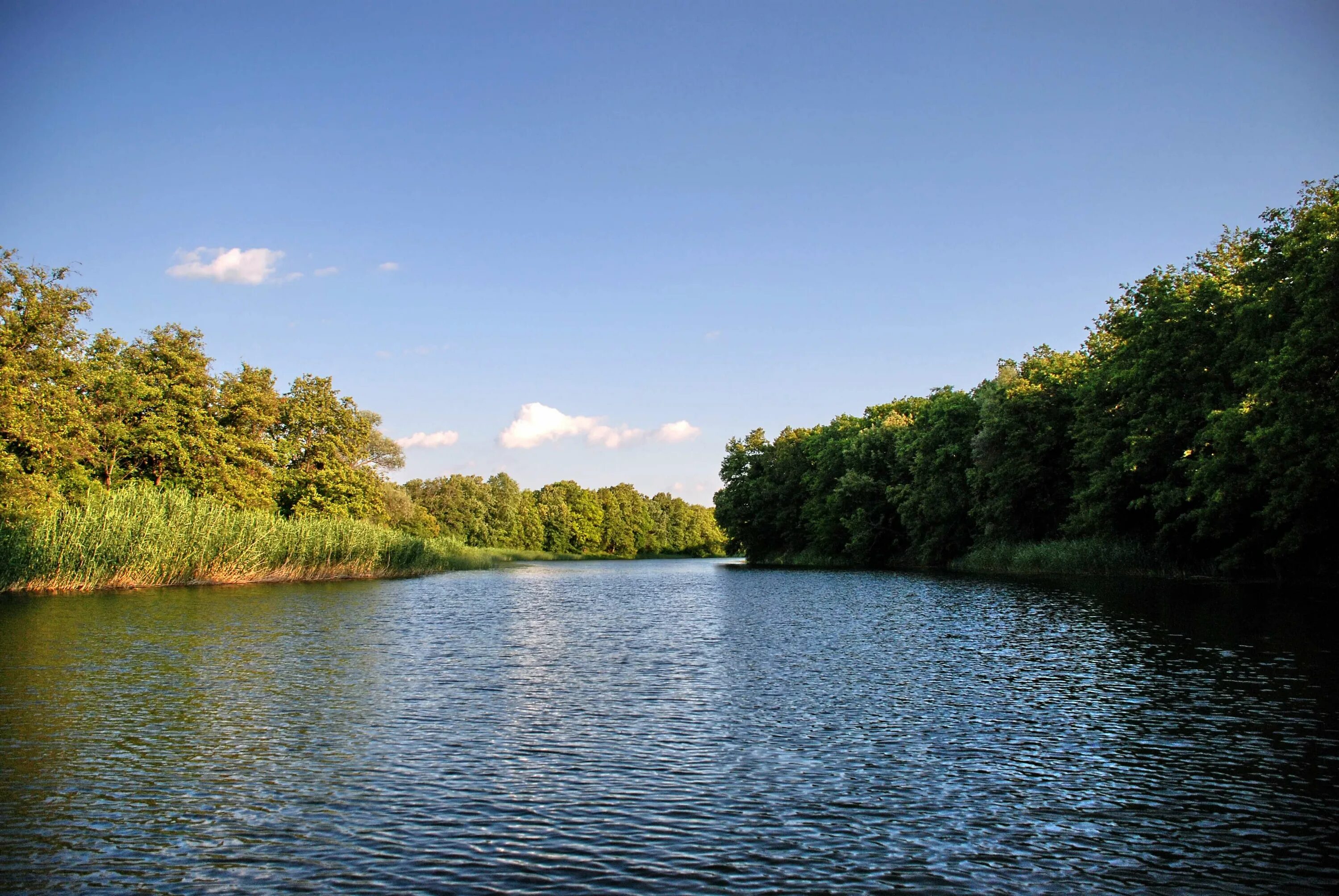 Реки белгородской области фото The Oskol River in June 2011 Topoli - Kupyansk