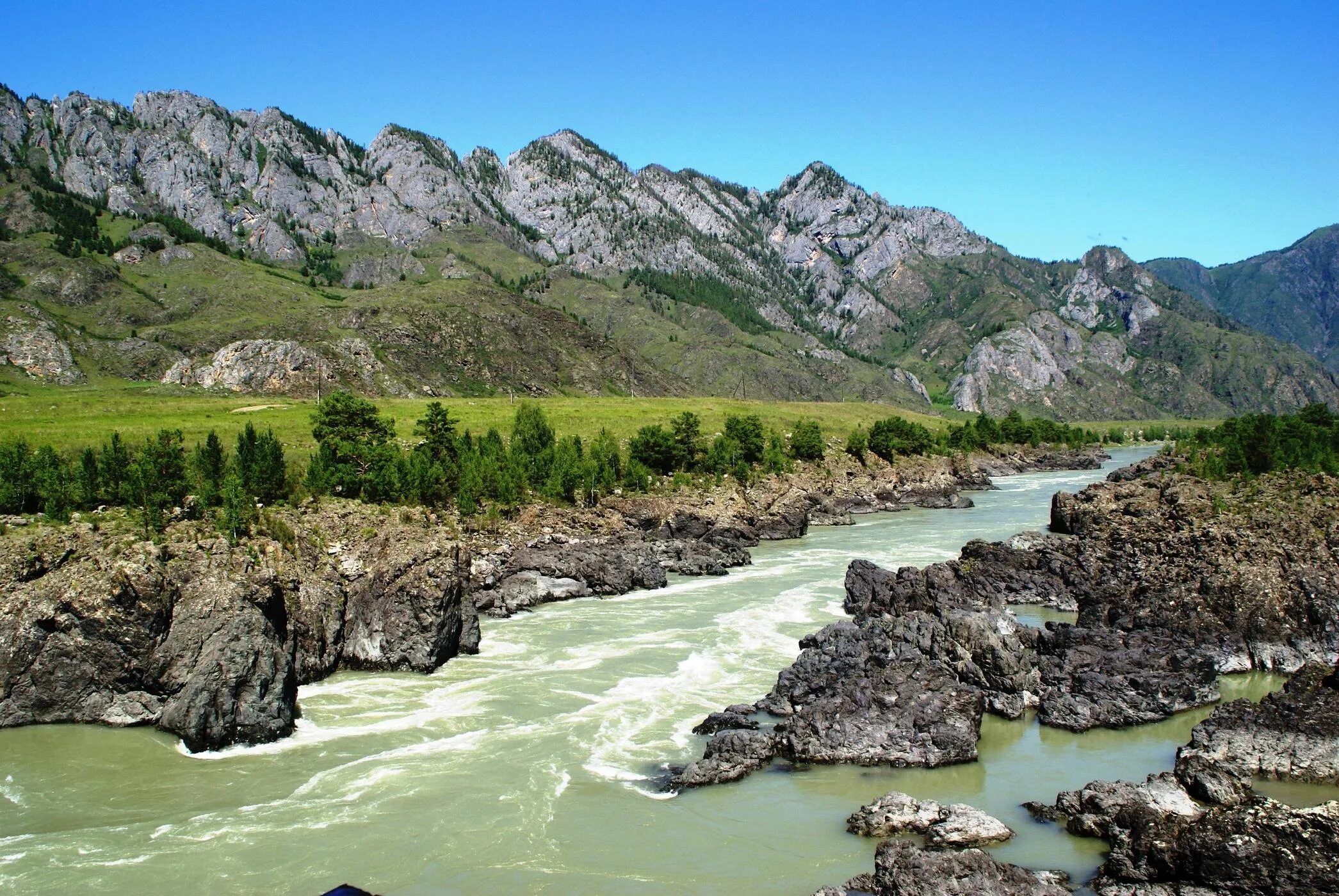 Реки горного алтая фото Берегу реки катунь