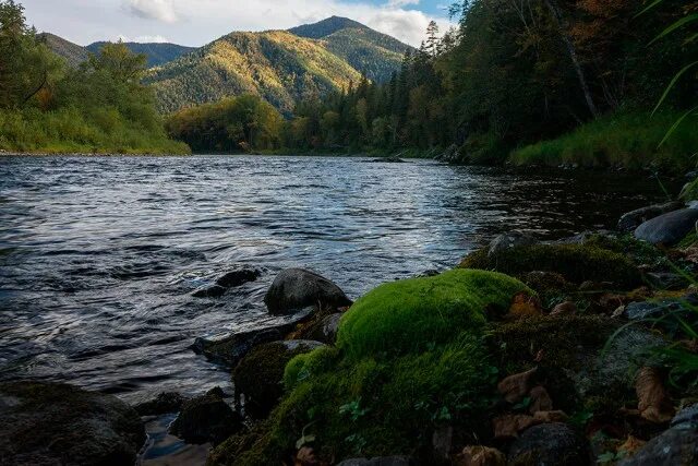 Реки хабаровского края фото Таёжная река - ЯПлакалъ