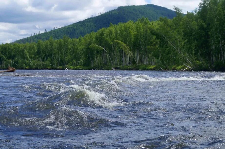 Реки хабаровского края фото Чудеса Солнечного района: река Амгунь - Новости - События - Официальный сайт адм