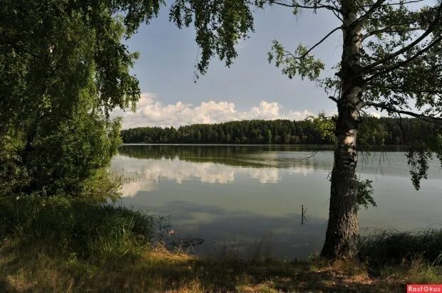 Реки ивановской области фото Путь реки....стихи Борис Шамраев иуз.исп.Речкин Александр РАЙ ( СОЛО ) Песни (Ав