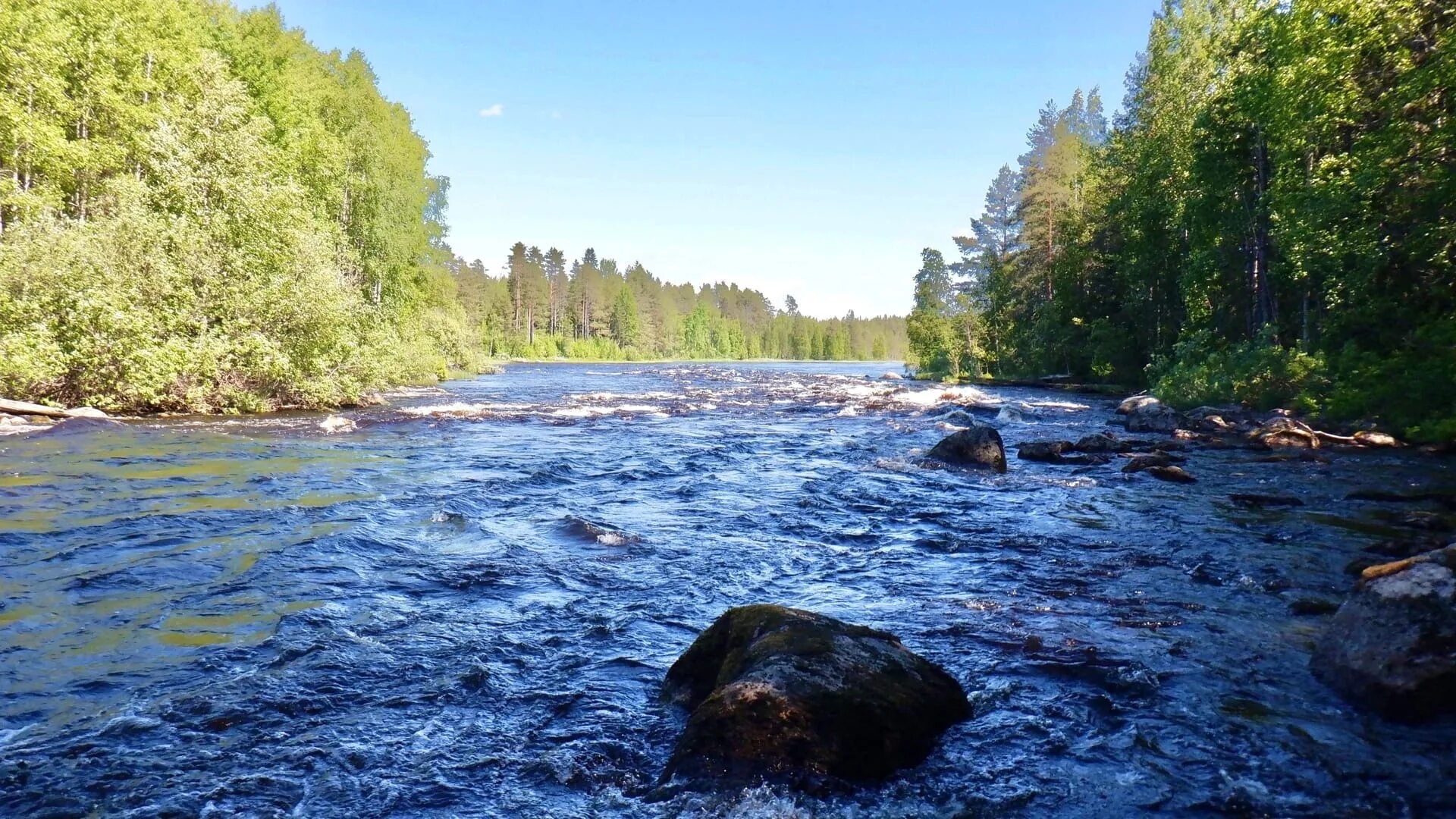 Реки карелии фото Юные покорители карельских рек