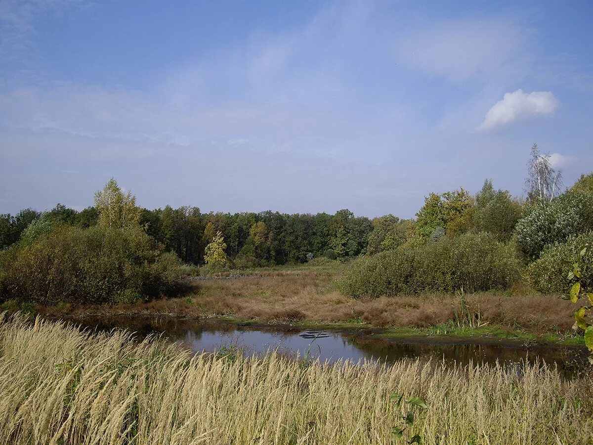 Реки кимовского района тульской области фото Фотографии КИМОВСКОМ РАЙОНЕ