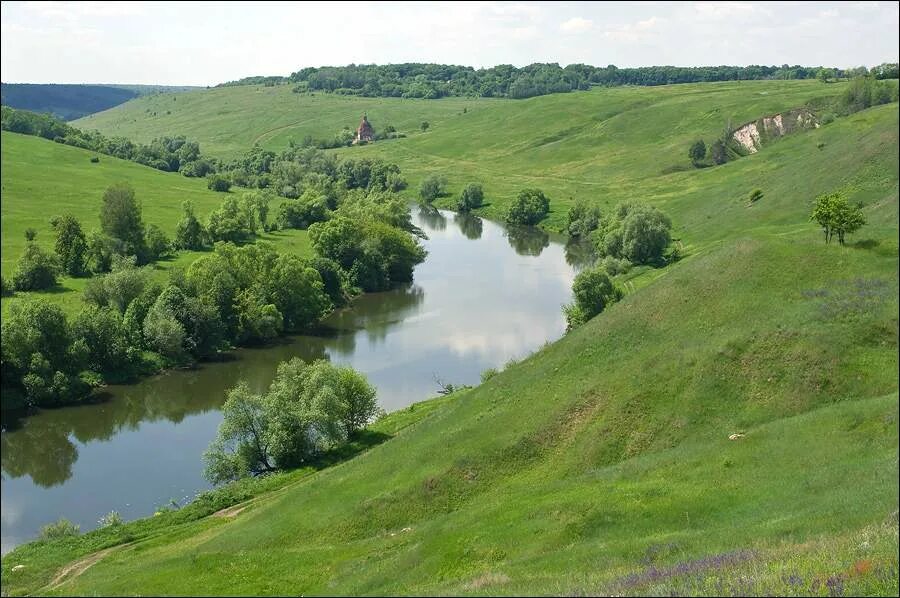 Реки кимовского района тульской области фото Река Красивая Меча Марийские Лесоходы