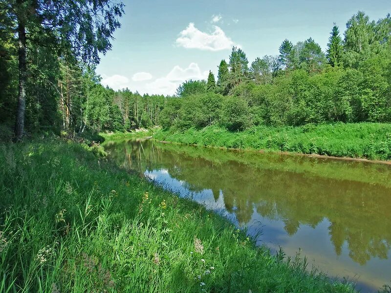 Реки костромской области фото Поездка в глушь на реку Меру: отдых между вотчинами великого политика и великого