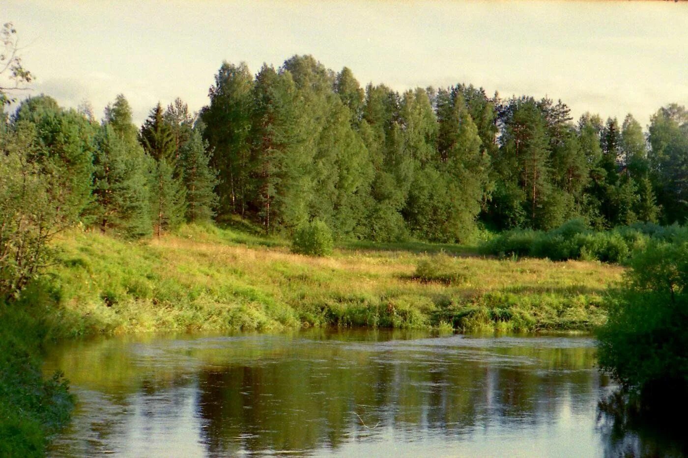 Реки костромской области фото Прекрасные виды реки Нея в Костромской области Природные истории Фотогалерея при