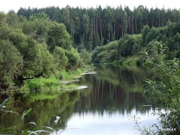 Реки костромской области фото Kostroma is a river in the European part of Russia, flows through the Chukhlomsk