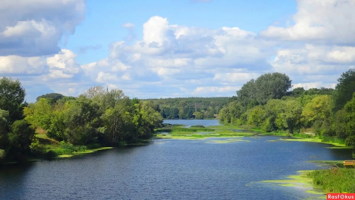 Реки курска фото Фото: Почти лето!. Фотолюбитель Наталья Красильникова. Пейзаж. Фотосайт Расфокус